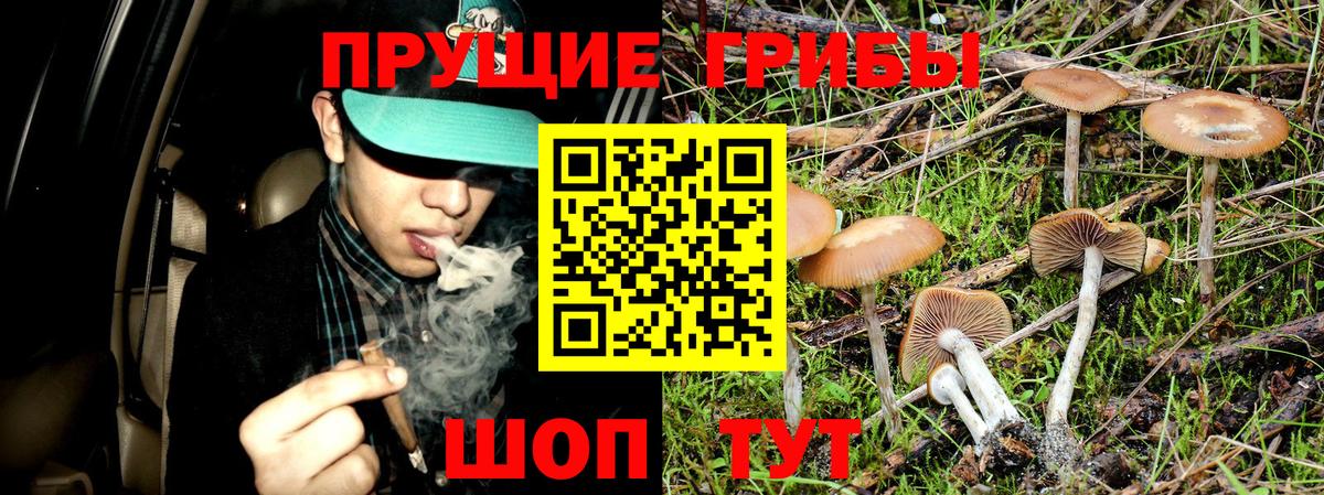 Галлюциногенные грибы мухоморы Заречный