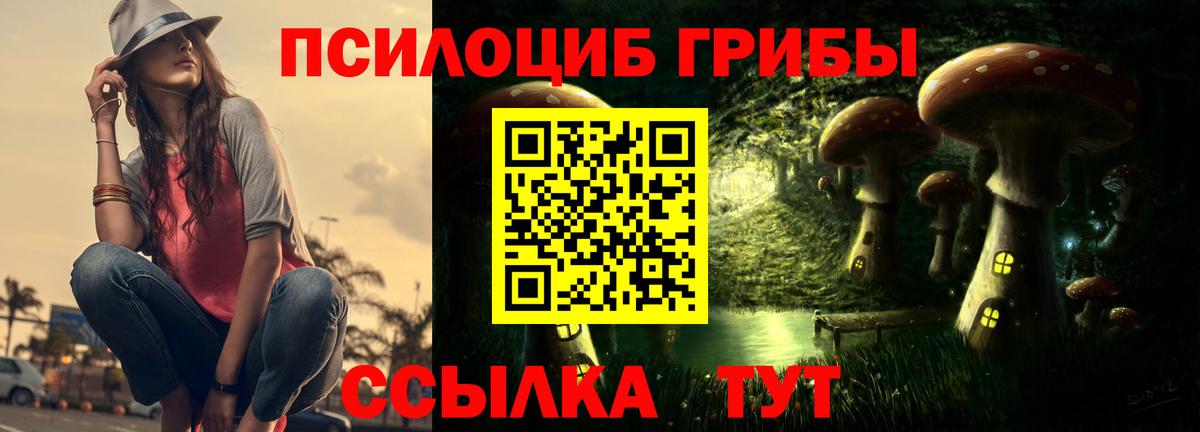 Галлюциногенные грибы ЛСД  Галлюциногенные грибы Magic Shrooms  Заречный  Вход с VPN 